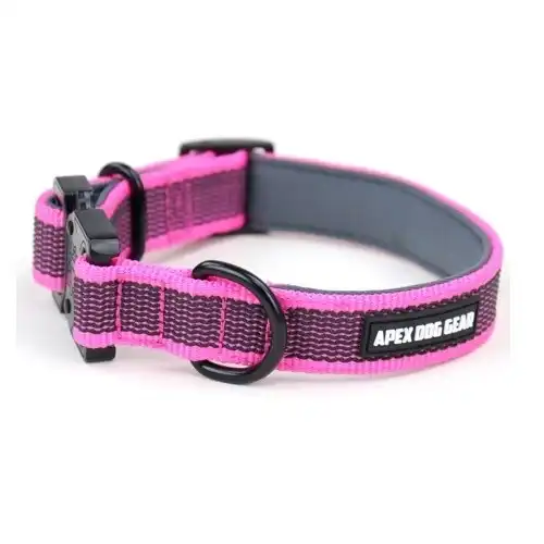 APEX DOG GEAR collar ajustable con cierre metálico rosa para perros - Apex Dog Gear - Comparador de precios