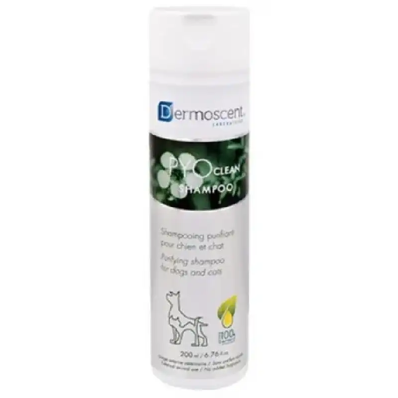 Dermoscent Dermoscent Pyo Shampoo Perros Y Gato 200Ml 200 ml - Dermoscent - Comparador de precios