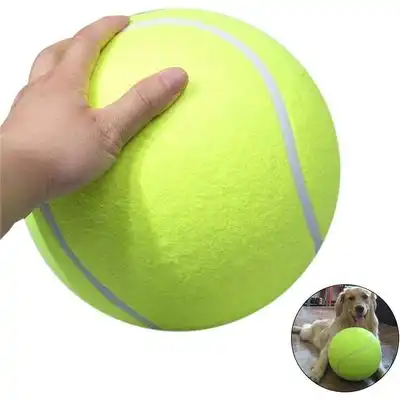 HausPets Pelota de tenis inflable grande de 24 cm – Para exteriores - Inflable de 24 cm - HausPets - Comparador de precios