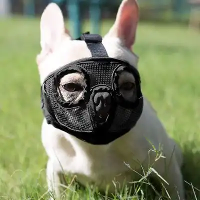 MCBOSON Bozal para perros de hocico corto - S - Mcboson - Comparador de precios