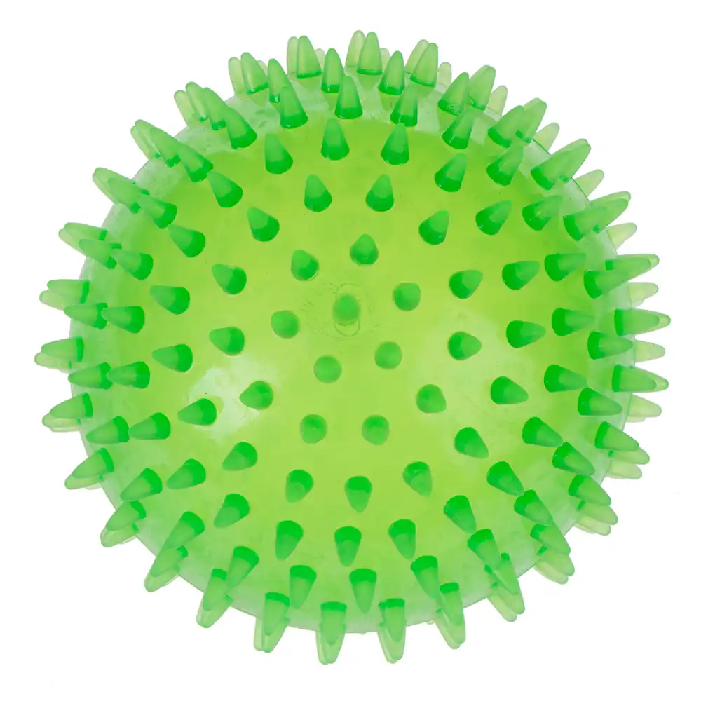 Pelota TPR Spiky Ball grande para perros - 12 cm - bitiba - Comparador de precios