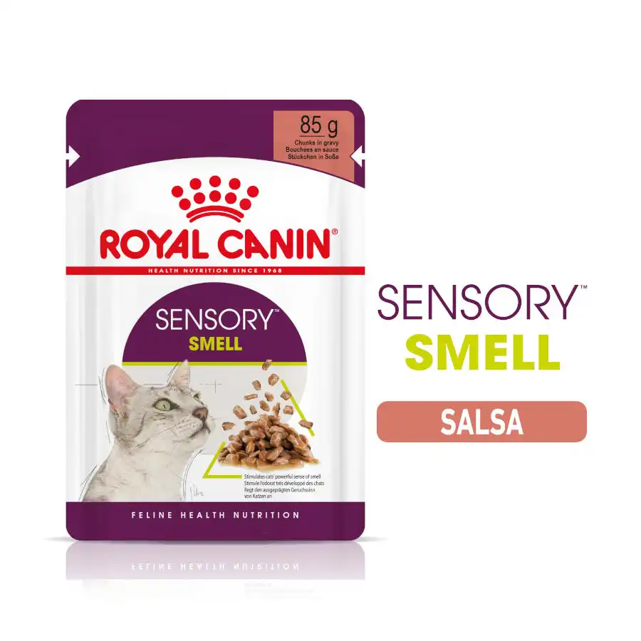 Royal Canin Adult Sensory Smell salsa sobre para gatos