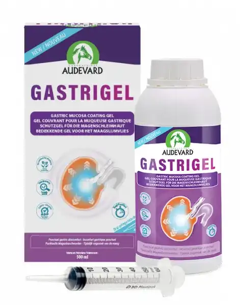 AUDEVARD GASTRIGEL 500 ML - 500ml No relevante - AUDEVARD - Comparador de precios