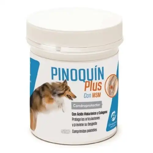 Condroprotector Pinoquín Plus para perros y gatos - Laboratorios Pino - Comparador de precios