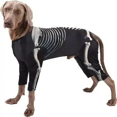 IntiMeg Disfraz de esqueleto para perros medianos - Talla 2XL Cuello: 33-52 cm - IntiMeg - Comparador de precios