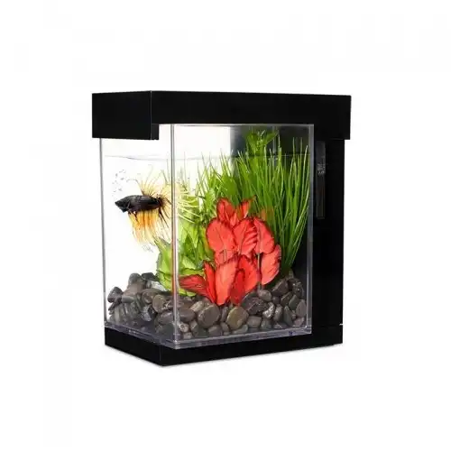 Marina Betta Ez Care Style Kit 3,7 L Negro - Marina - Comparador de precios