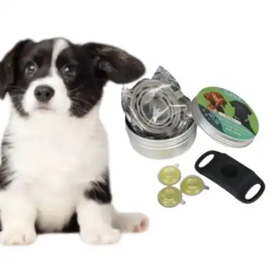 MCBOSON Colgante para perro negro (12 meses de protección) - 1 artículo - Mcboson - Comparador de precios