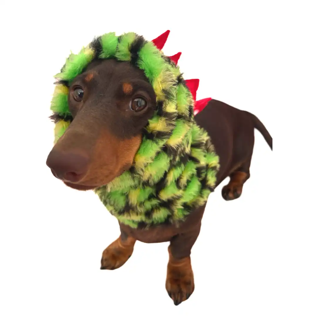 Puppies & Pom Poms Gorro bufanda Dinosaurio para perros - XXS-XS - Puppies & Pom Poms - Comparador de precios