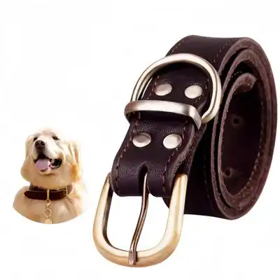 FurryFusion collar de cuero para perro - SG - Furry Fusion - Comparador de precios