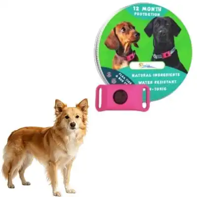 MCBOSON Colgante de rosa, protección de 12 meses para perros - 1 artículo - Mcboson - Comparador de precios