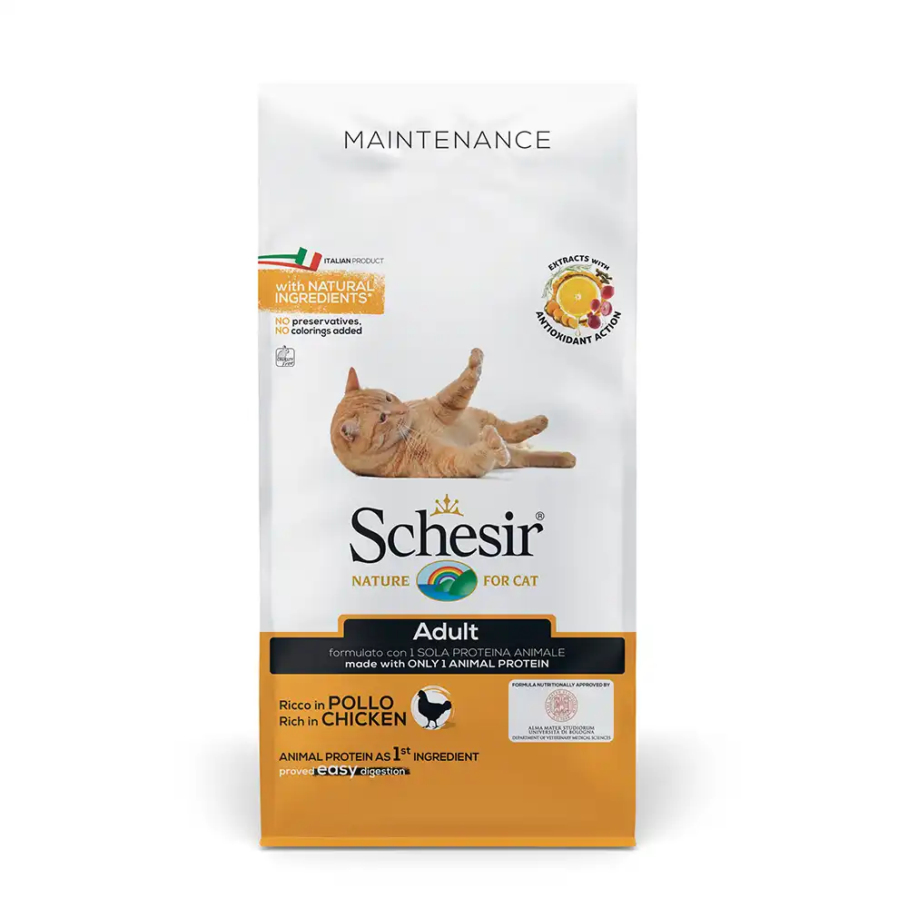 Schesir Adult Maintenance con pollo - 10 kg